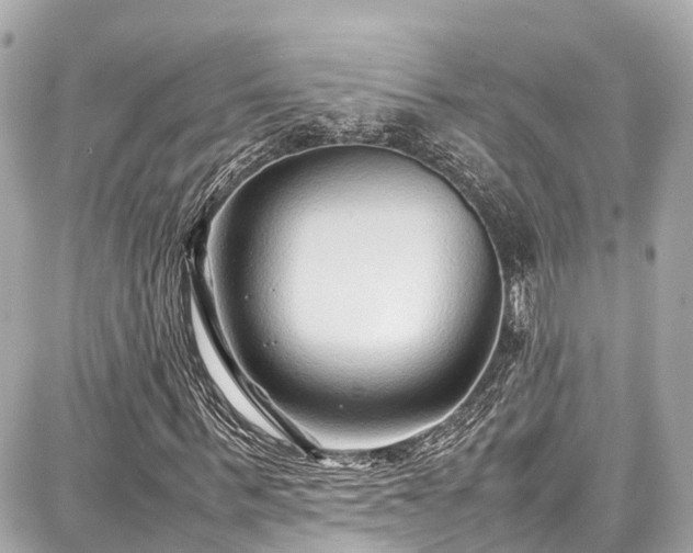 X0000087750963200705141246