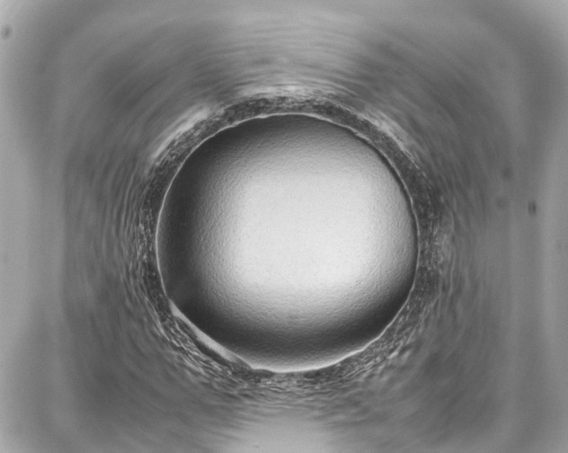 X0000087750967200705141246