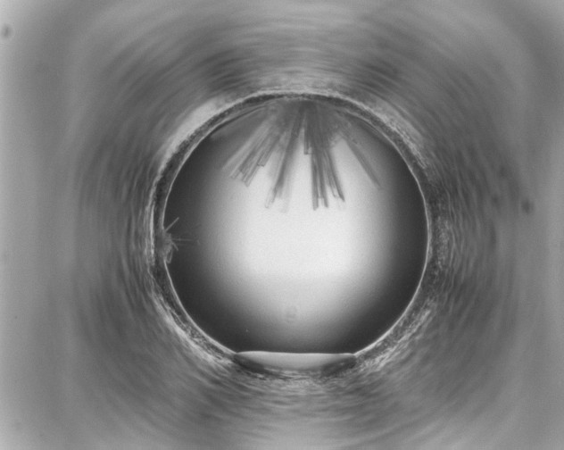 X0000087750982200705141245