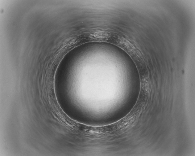 X0000087751009200705141244