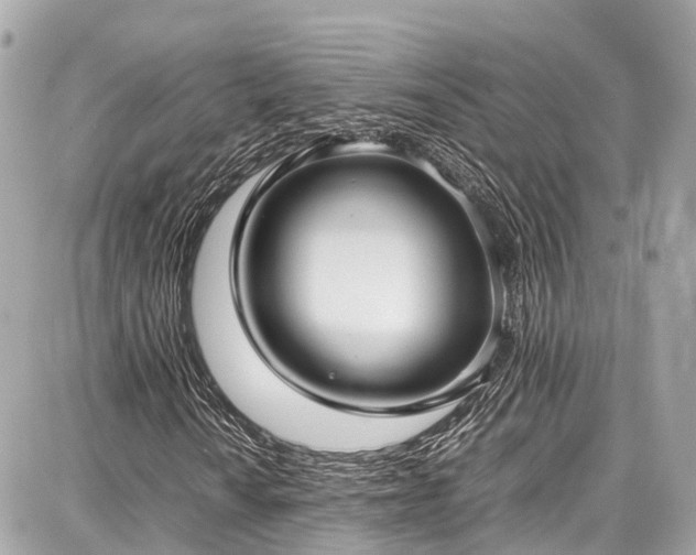 X0000087751010200705141244