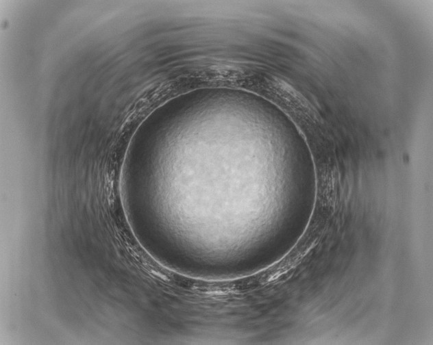 X0000087751013200705141244