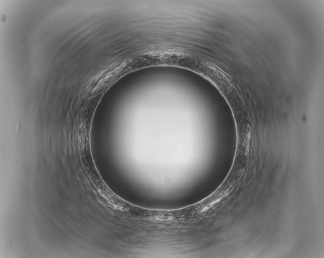 X0000087751014200705141244