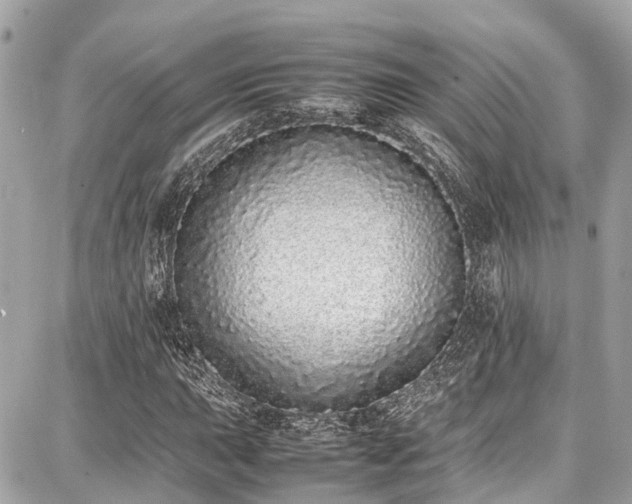 X0000087751015200705141244