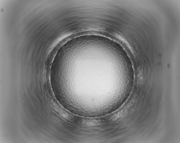 X0000087751019200705141244