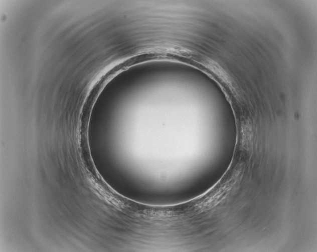 X0000087751020200705141244