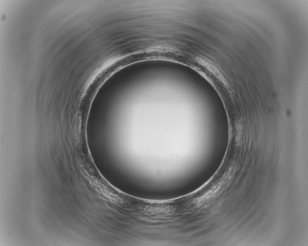 X0000087751021200705141244