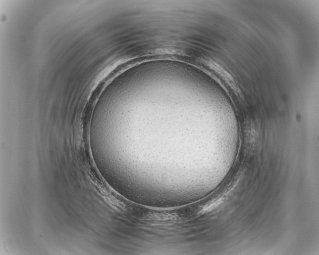 X0000087751023200705141244