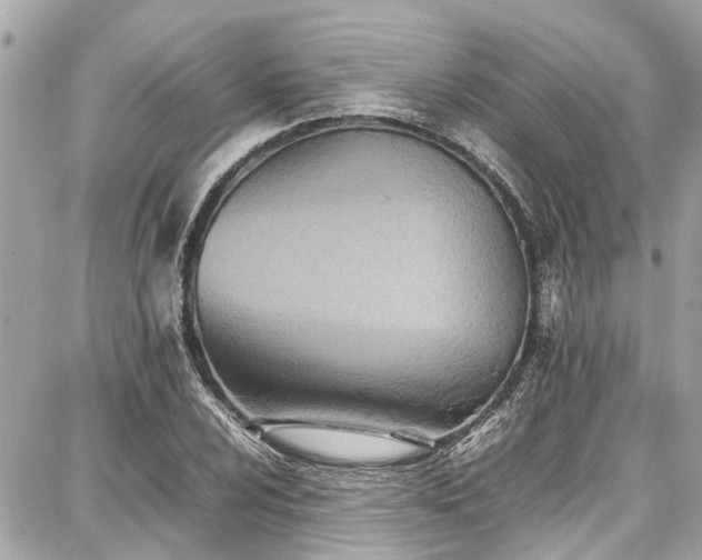 X0000087751024200705141244