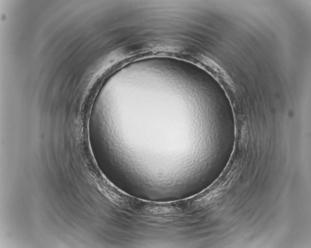 X0000087751027200705141245