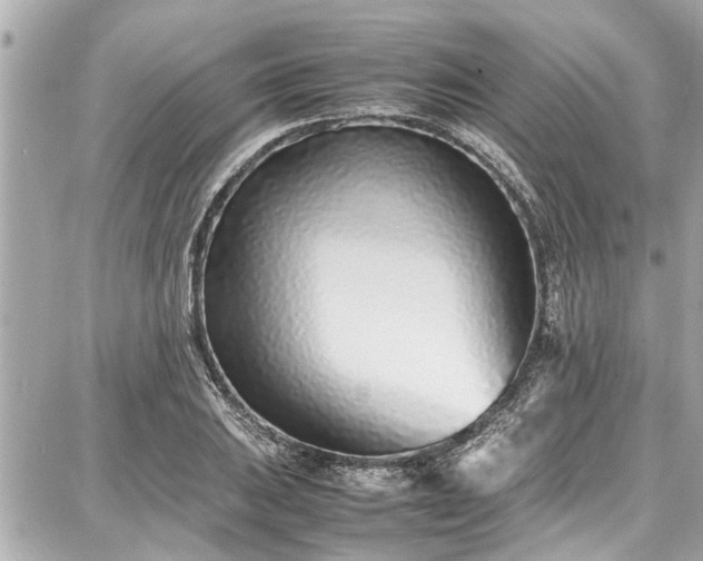 X0000087751031200705141245