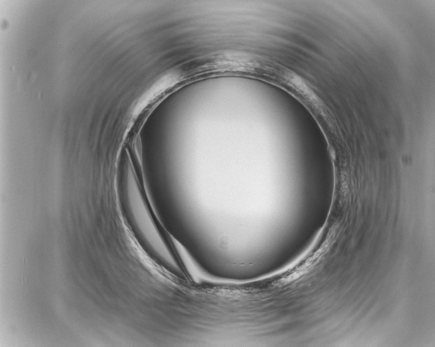X0000087751034200705141245
