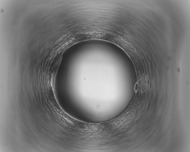 X0000087751058200705141244