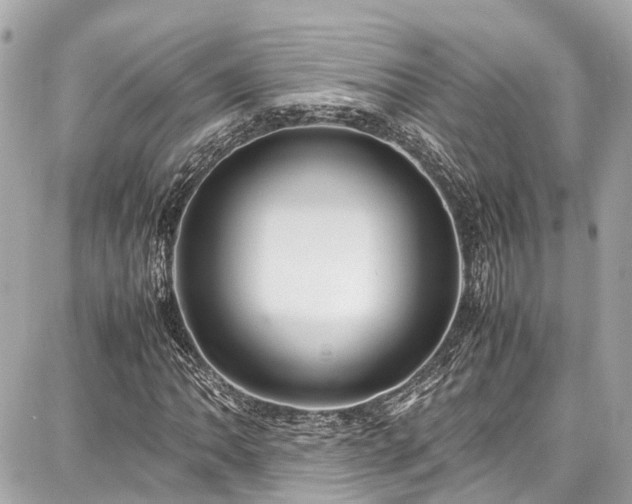 X0000087751062200705141244
