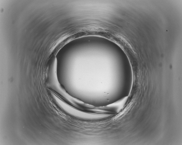 X0000087751065200705141244