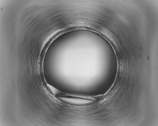 X0000087751068200705141244
