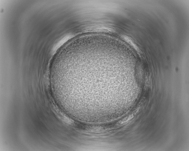 X0000087751071200705141244