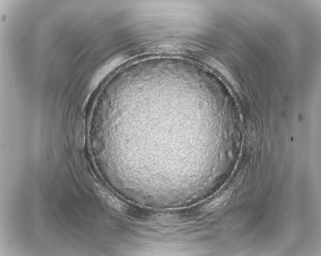 X0000087751075200705141244