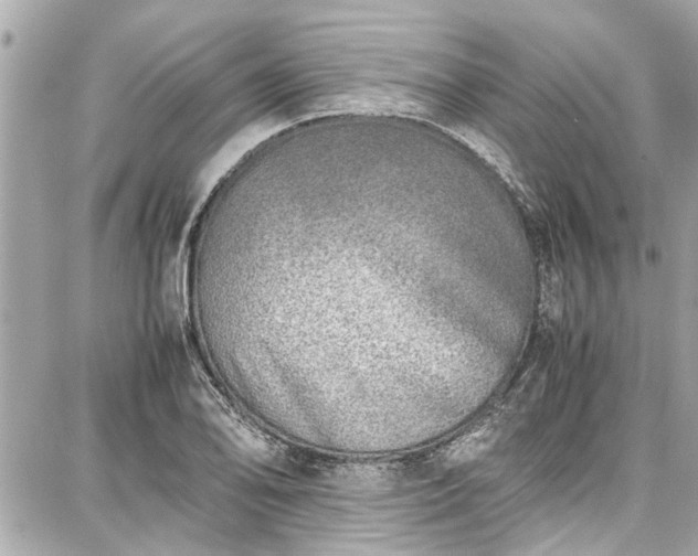 X0000087751078200705141244