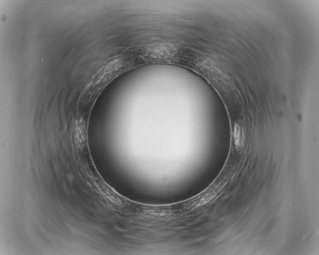 X0000087751107200705141243