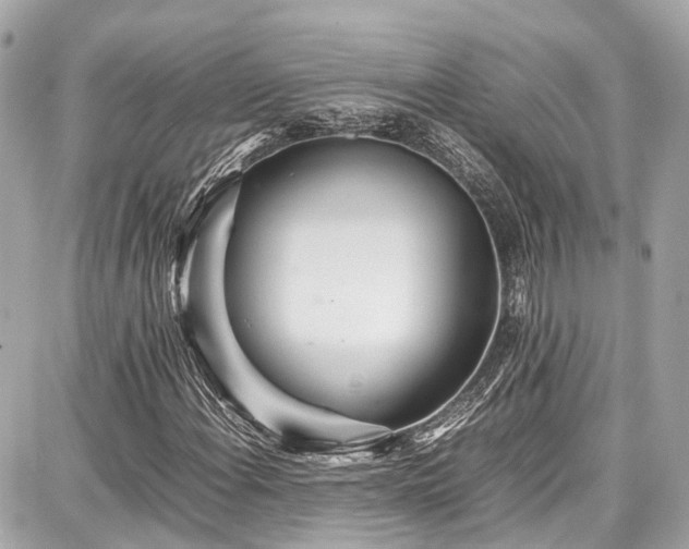 X0000087751108200705141243