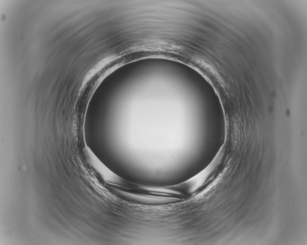 X0000087751114200705141243