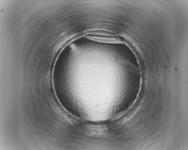 X0000087751121200705141243