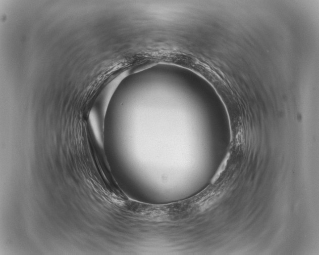 X0000087751156200705141243