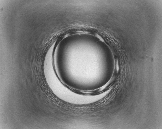 X0000087751157200705141243