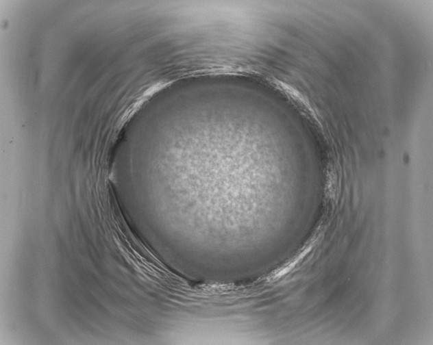 X0000087751161200705141243