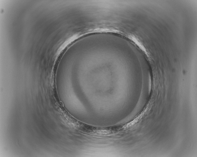 X0000087751173200705141242