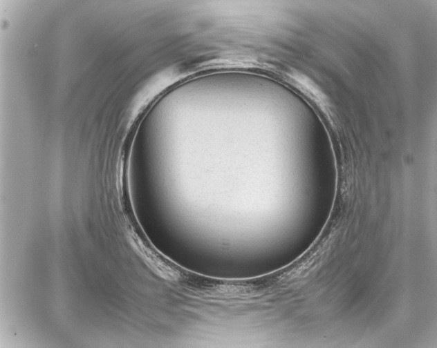 X0000087751179200705141242