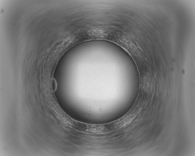 X0000087751201200705141241