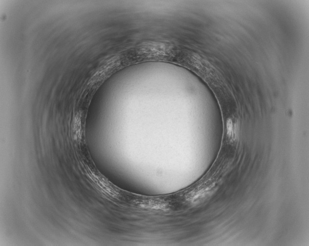 X0000087751203200705141241