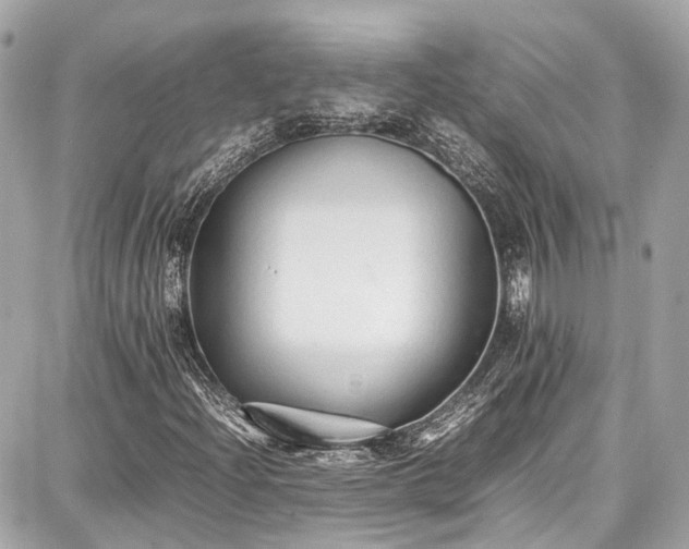 X0000087751204200705141241
