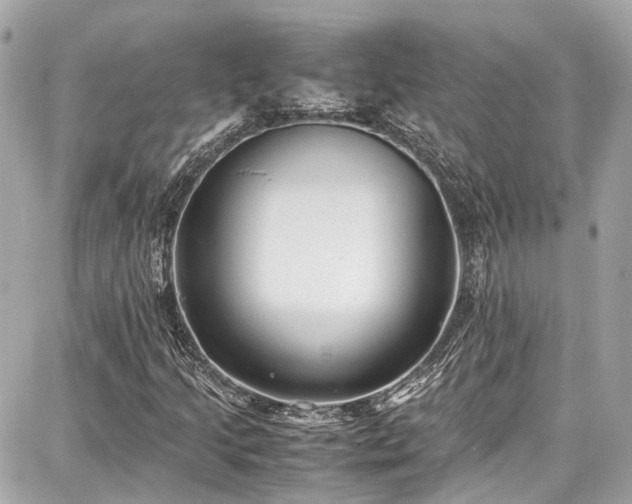X0000087751205200705141241