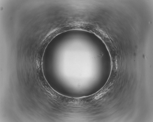 X0000087751206200705141241