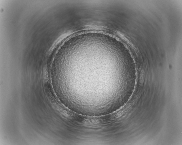 X0000087751215200705141241