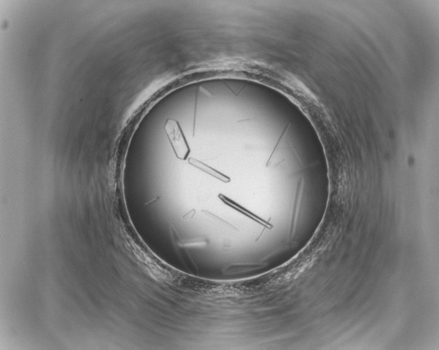 X0000087751216200705141241