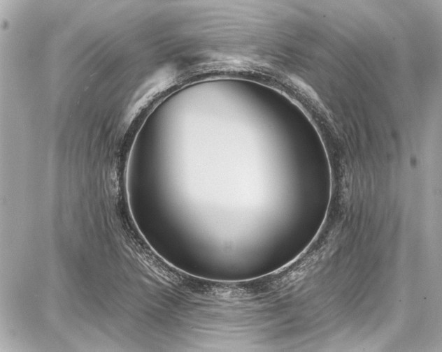 X0000087751218200705141241