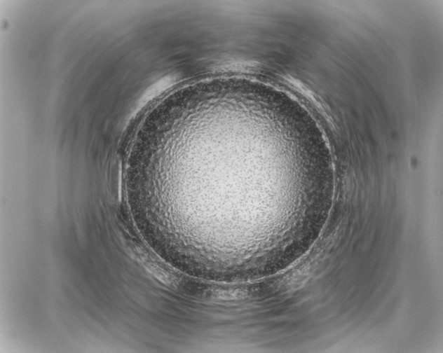 X0000087751219200705141241