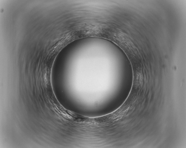 X0000087751250200705141241