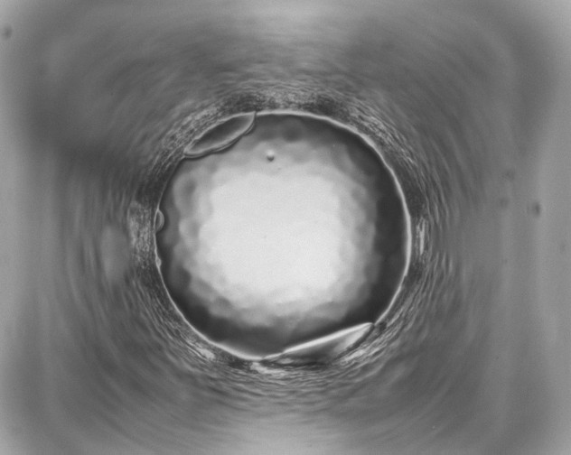 X0000087751251200705141241