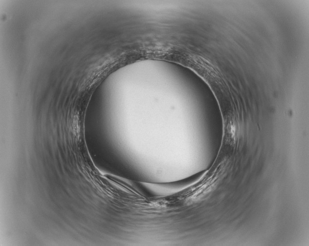 X0000087751252200705141241