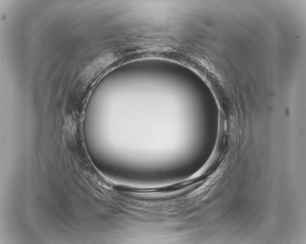 X0000087751257200705141241