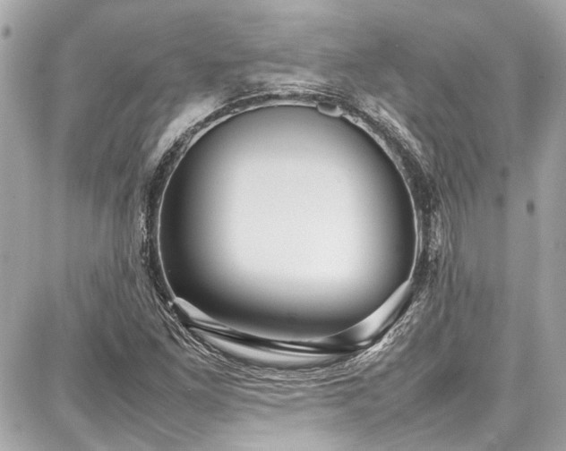 X0000087751261200705141241