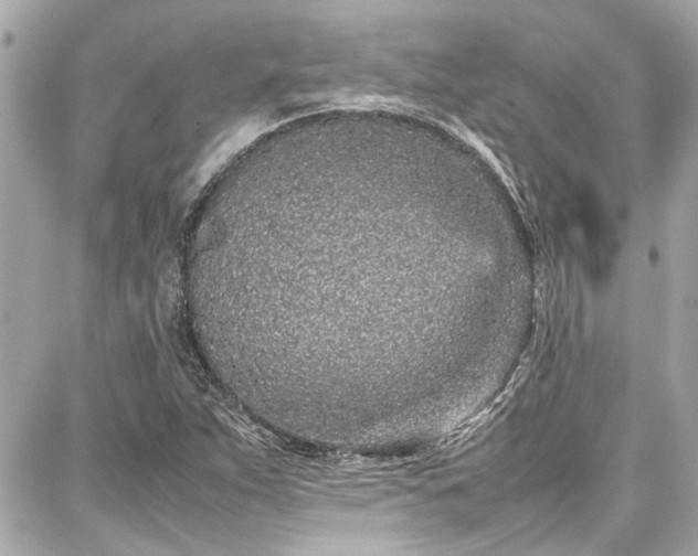 X0000087751263200705141241