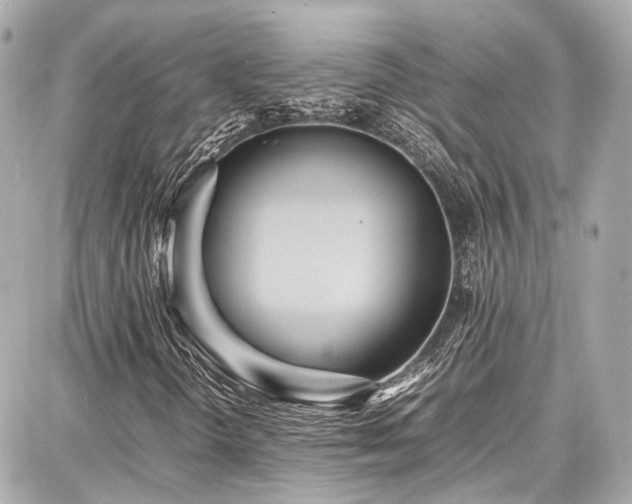 X0000087751298200705141240