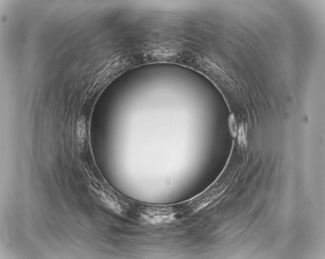 X0000087751299200705141240