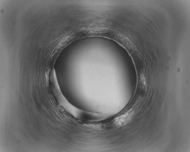 X0000087751300200705141240